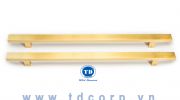 Tay Nắm Sảnh BPH 680901
