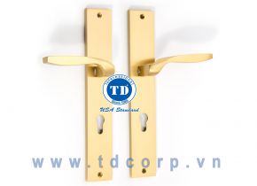 KHÓA CỬA CHÍNH BDH-125125-2